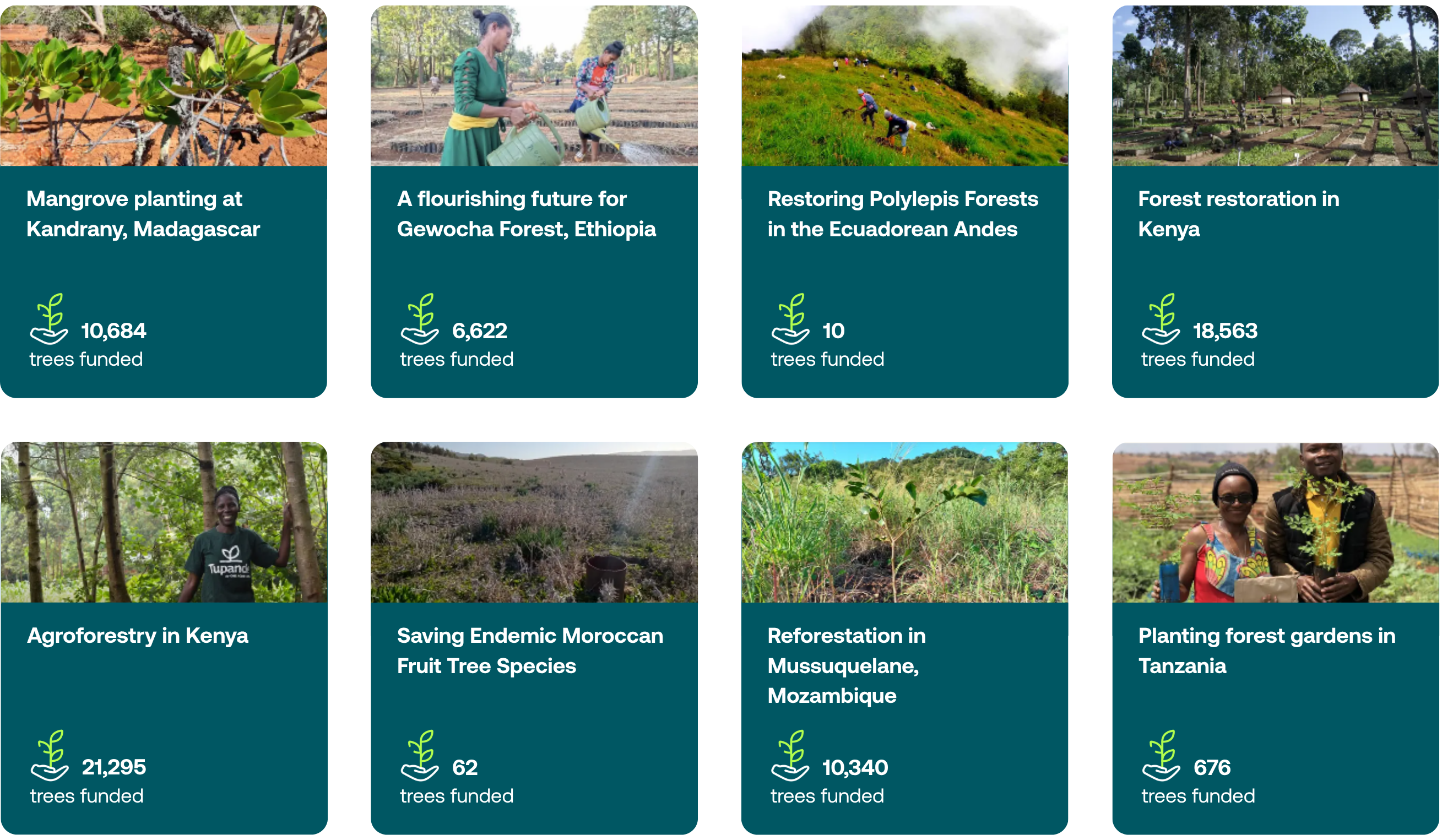 Ecologi projects we've supported