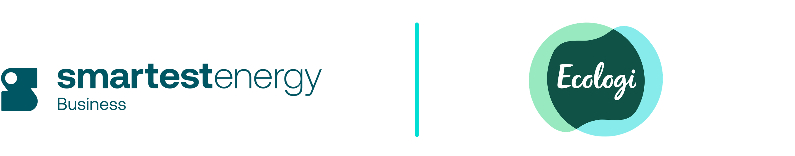SmartestEnergy Business and Ecologi Logo