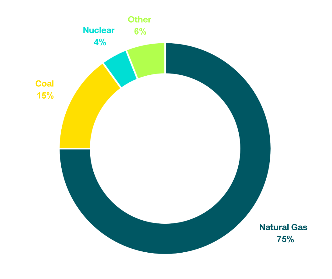 Conventional Fuel Mix