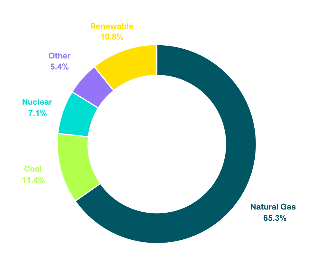 Conventional Fuel Mix