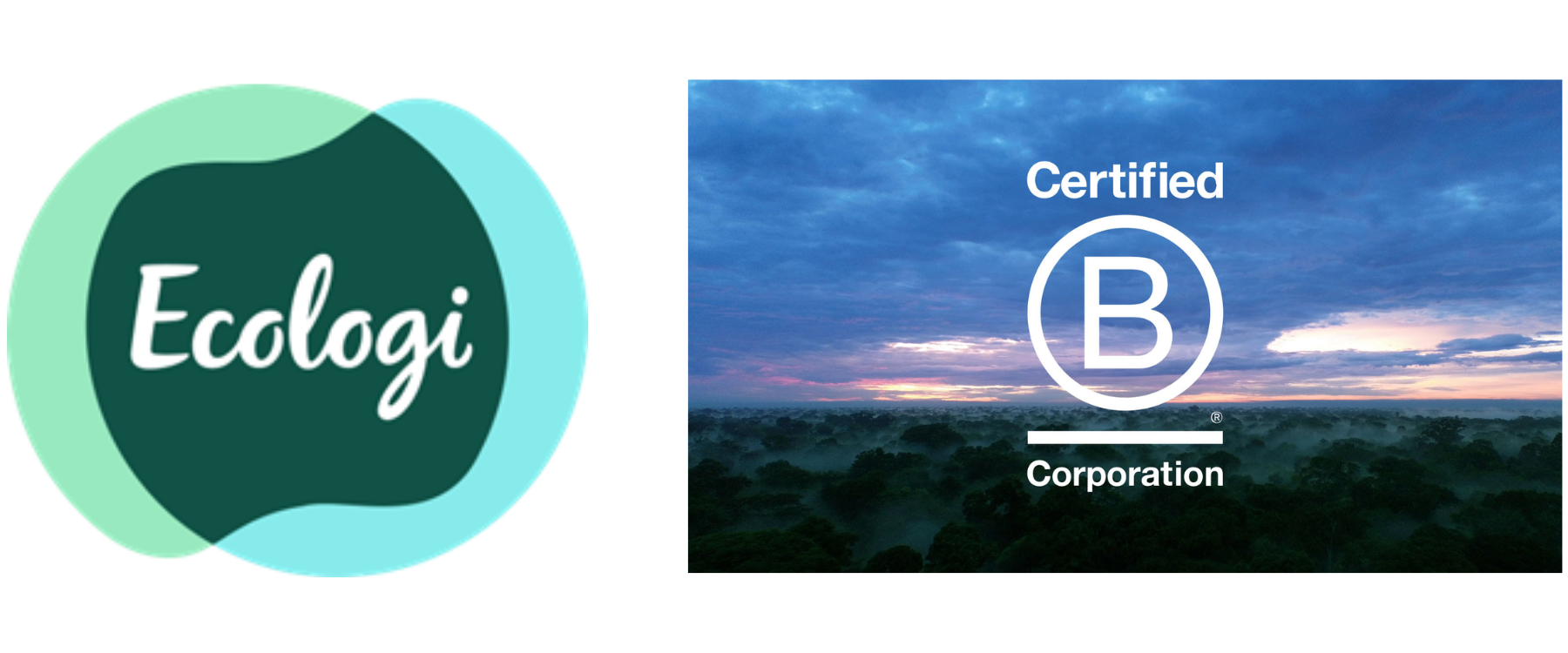Ecologi and B Coropration Logos